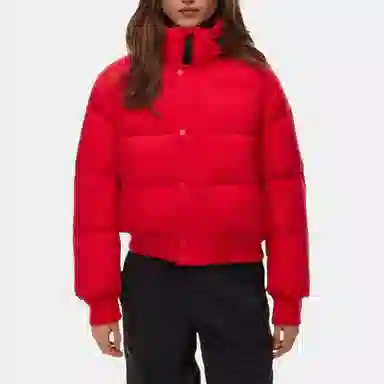 ARITZIA Super Puff Bomber