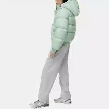 ARITZIA Super Puff Bomber