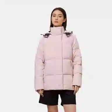 Canada Goose Junction