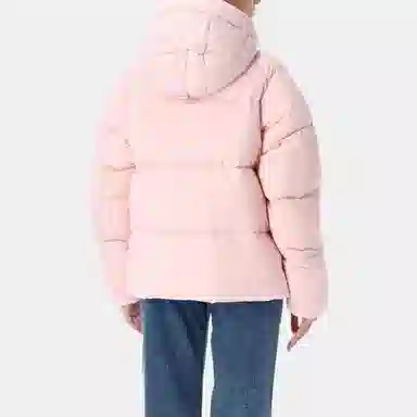 Canada Goose Junction