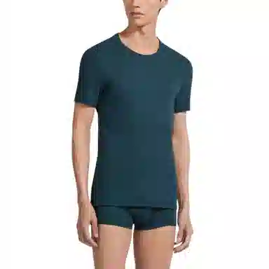 Zegna T