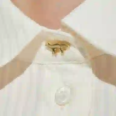 Maison Kitsune