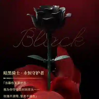 T 0-300pcs T-DK009-010-1