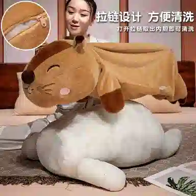 60cm80cm105cm