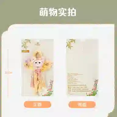 Disney x DISNEYLAND 25cm