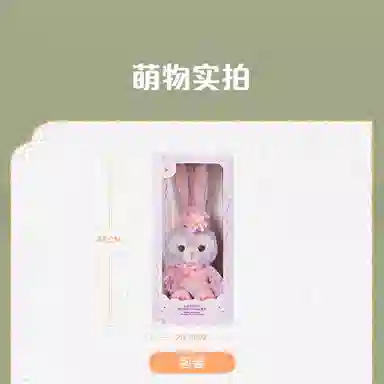 Disney x DISNEYLAND 25cm