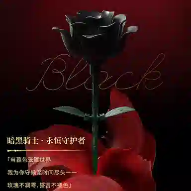 JAKI 0-300pcs DK009-010-1