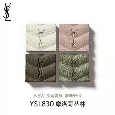 YSL 4g