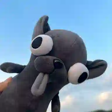 15cm