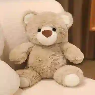25cm