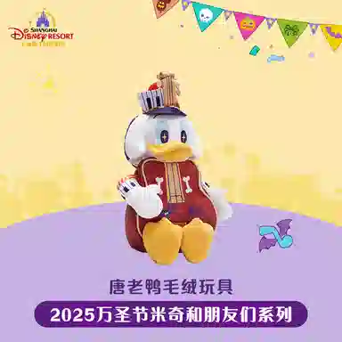 Disney x DISNEYLAND 2025 23cm