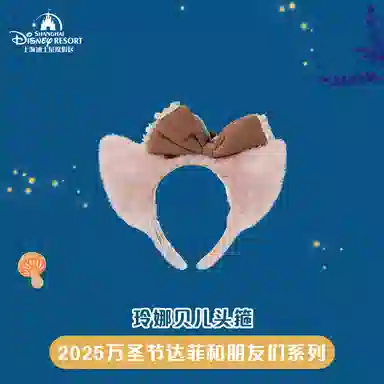 Disney x DISNEYLAND 2025 IP