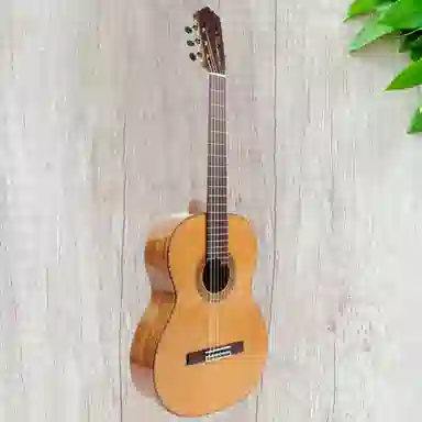 SONG TOOS () C060 ()