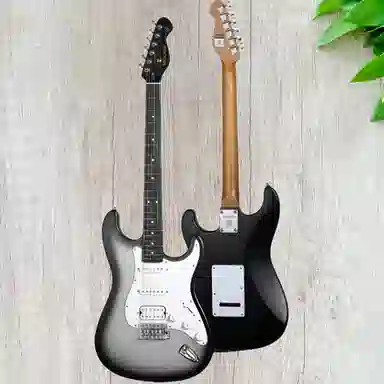 MOOER () MSC12 Pro 22