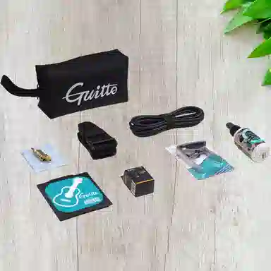 JOYO Guitto() GAP-01 )