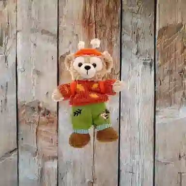 Disney x DISNEYLAND 2025