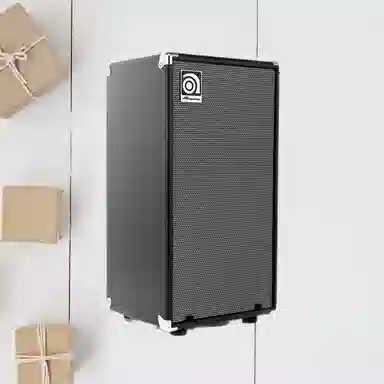 AMPEG () SVT210AV Bass)