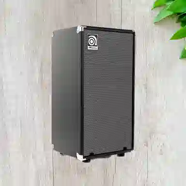 AMPEG () SVT210AV Bass)