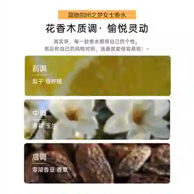 COACH40ml60ml90ml+2ml