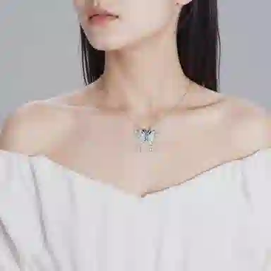 COLIMIDA
