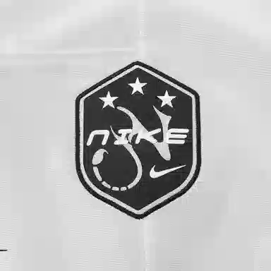 Nike AS W NSW SS GX T