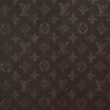 Louis Vuitton Wool Scarf Hazelnut
