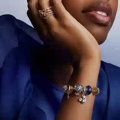 Pandora Snake Chain Bracelet