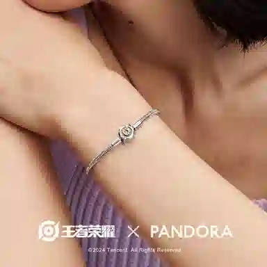 Pandora Snake Chain Bracelet