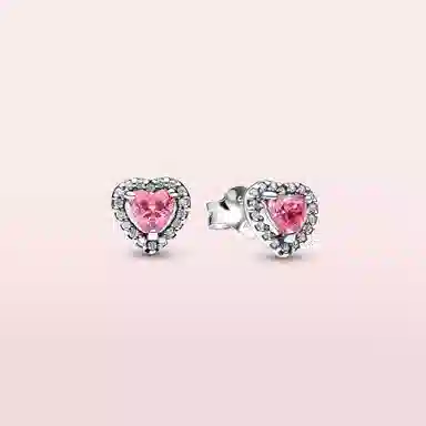 Pandora 925 Silver Earrings