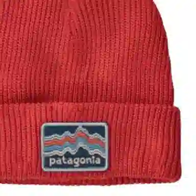 patagonia Logo