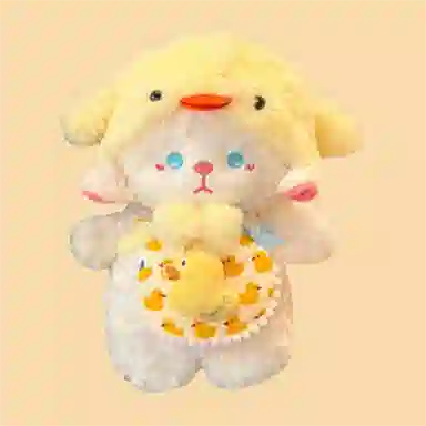 25cm35cm