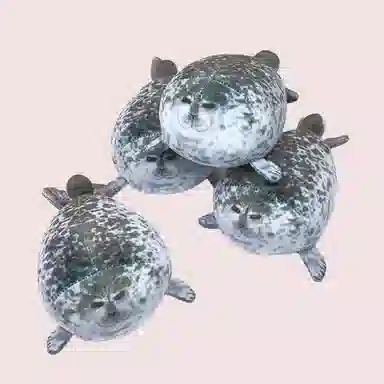 30cm55cm70cm
