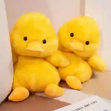 16cm25cm30cm