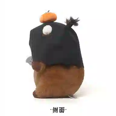 31cm