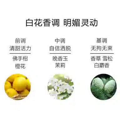 Giorgio Armani EDP Sample