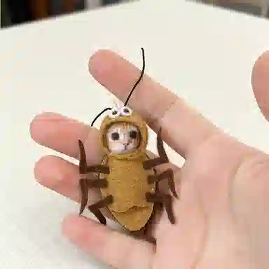 一点潮玩 蟑螂材料 创意萌趣 可爱小强 其他手工制作
