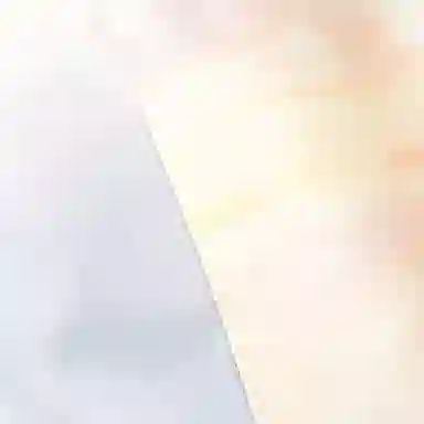 Alexander McQueen SS22