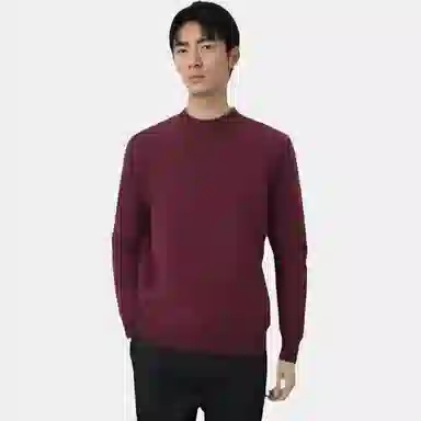 恒源祥 加厚提花纯色半高领针织毛衣 男款