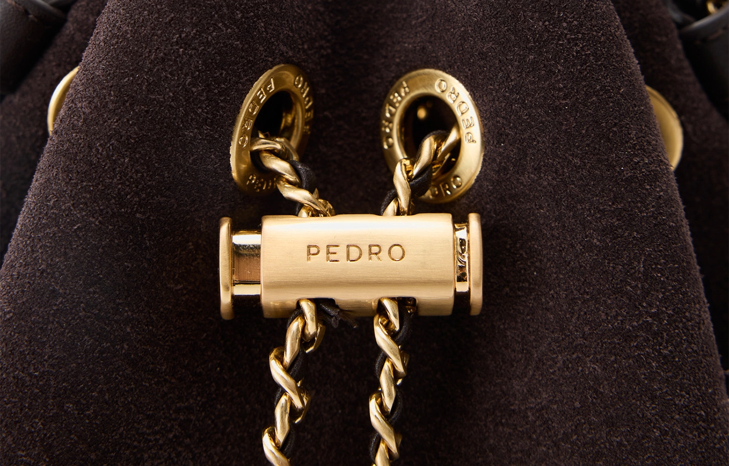 PEDRO Icon