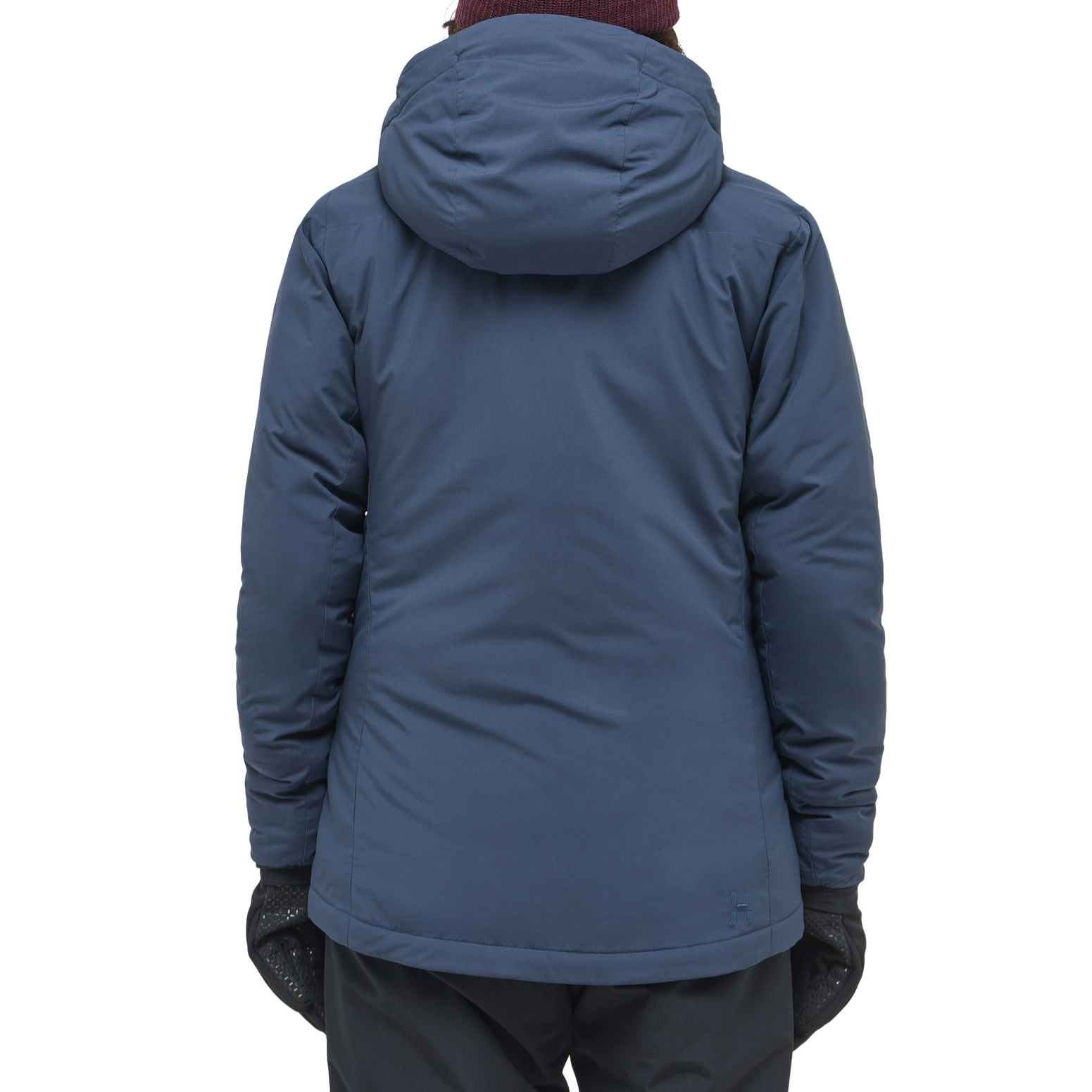HAGLFS Mimic Alert Hood