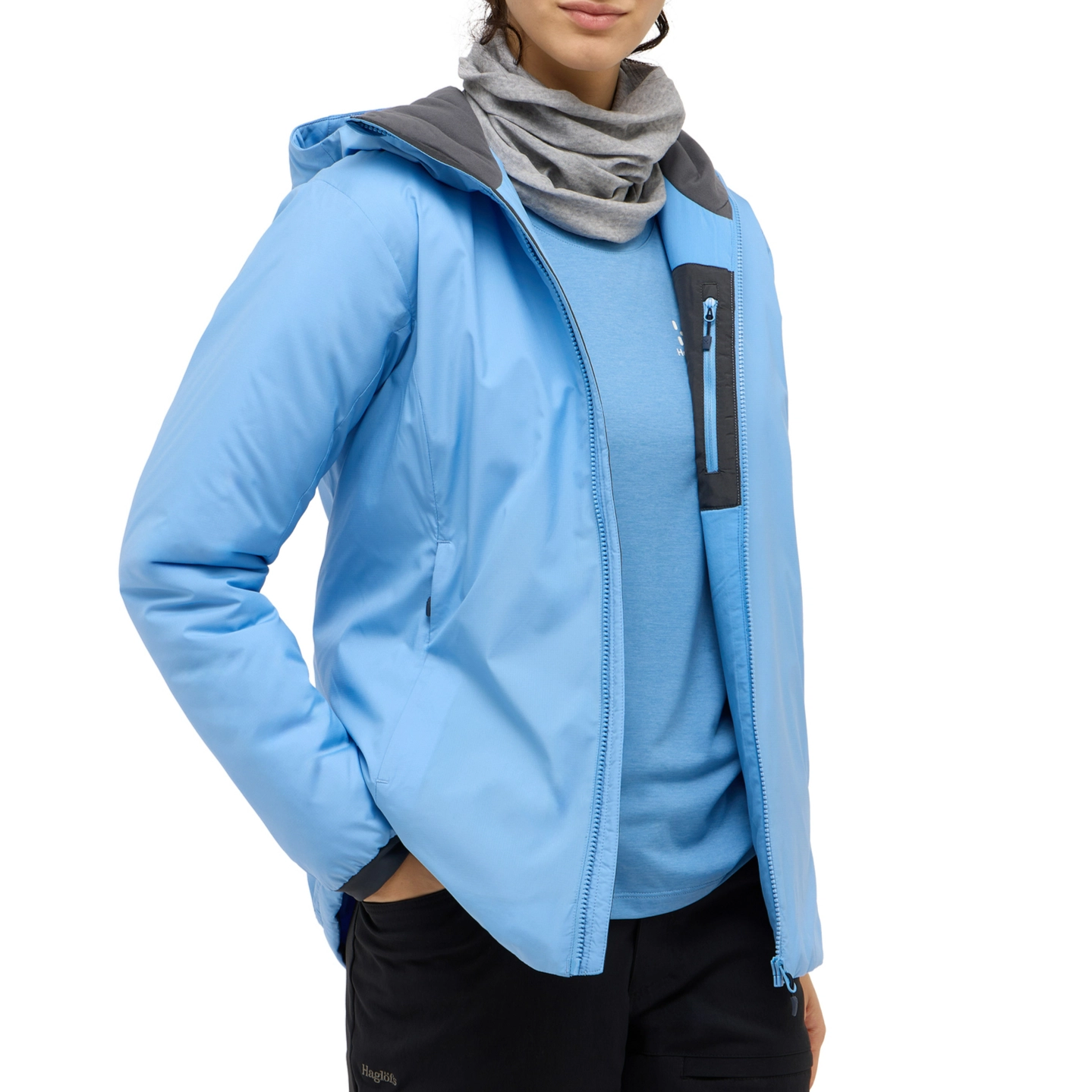 HAGLFS Mimic Alert Hood