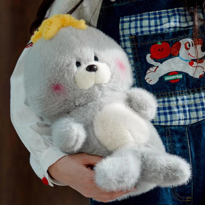 22cm35cm