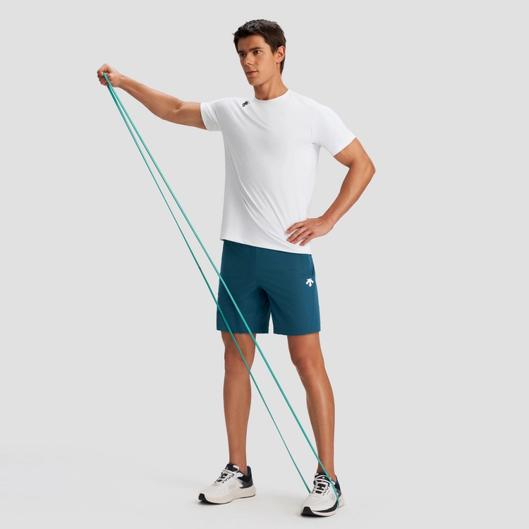 DESCENTE T