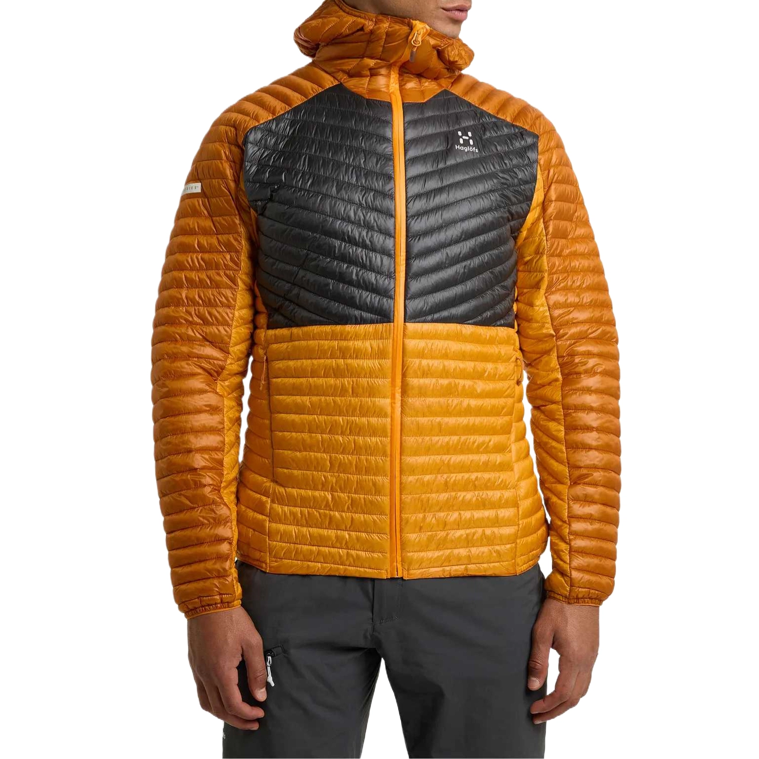 HAGLFS LIM Mimic