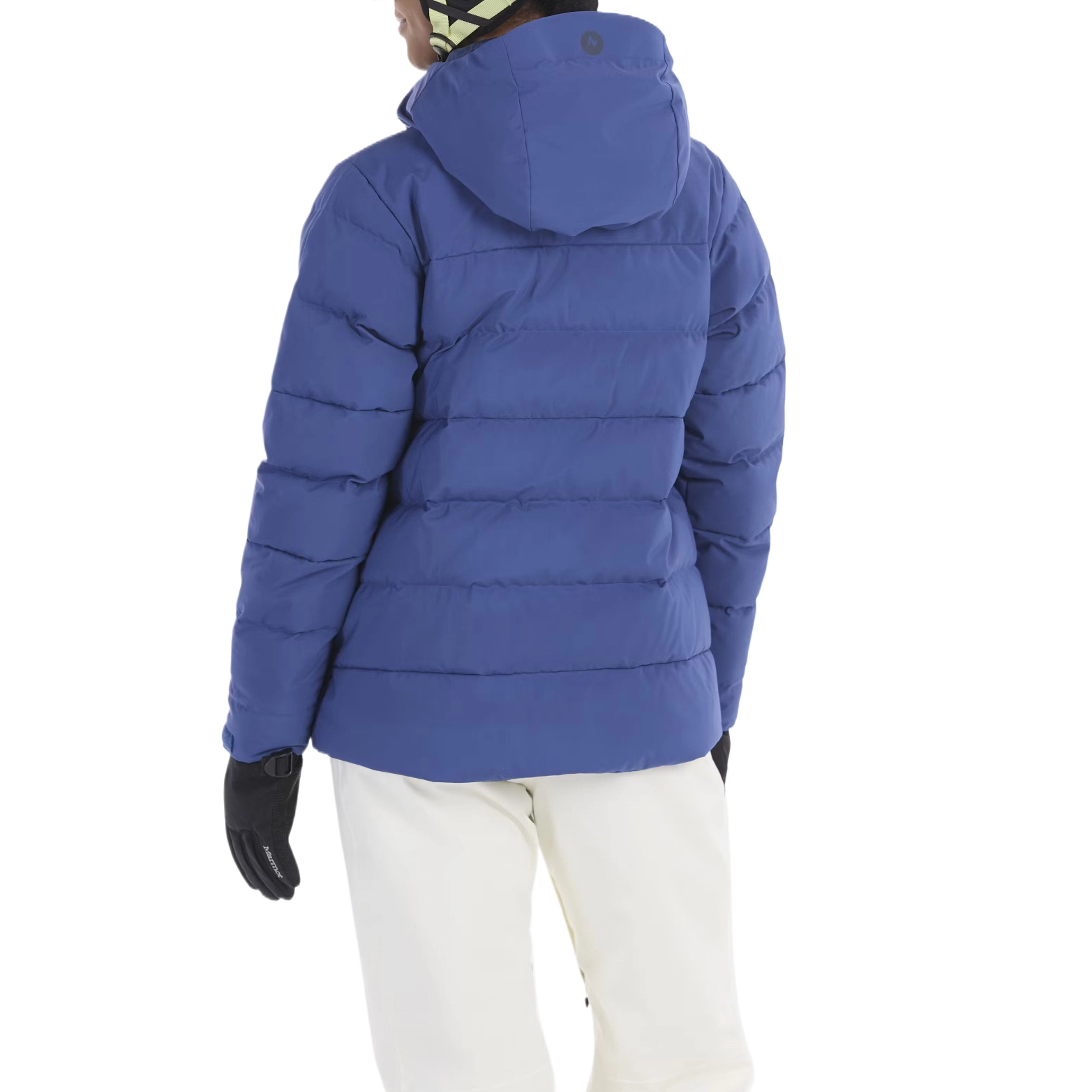 Marmot