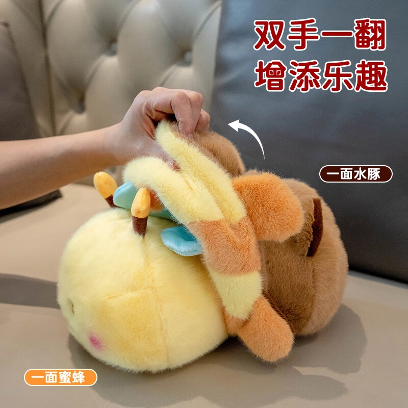 25cm35cm