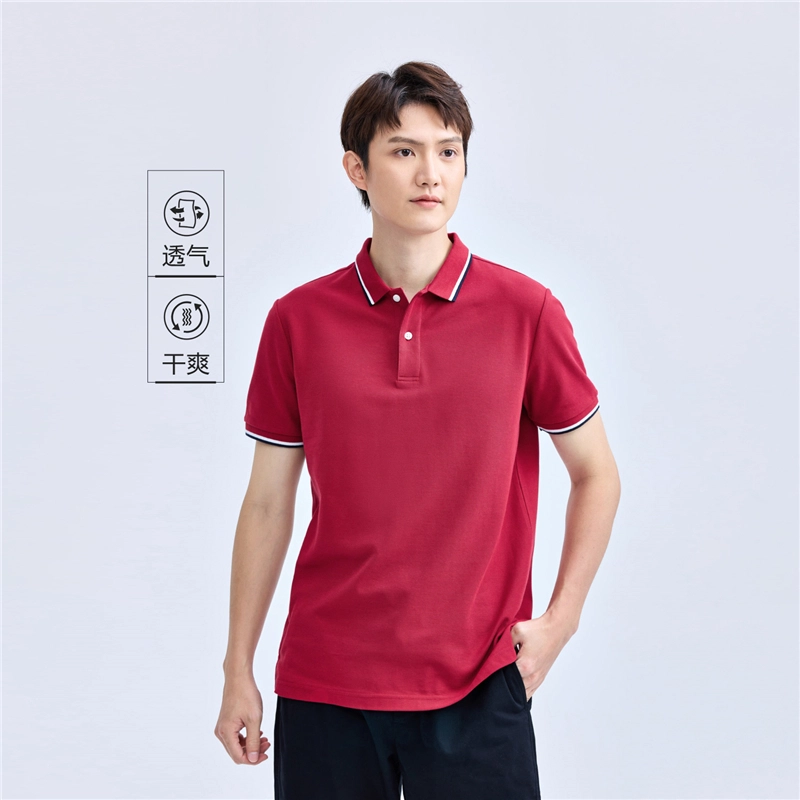 poloPolo