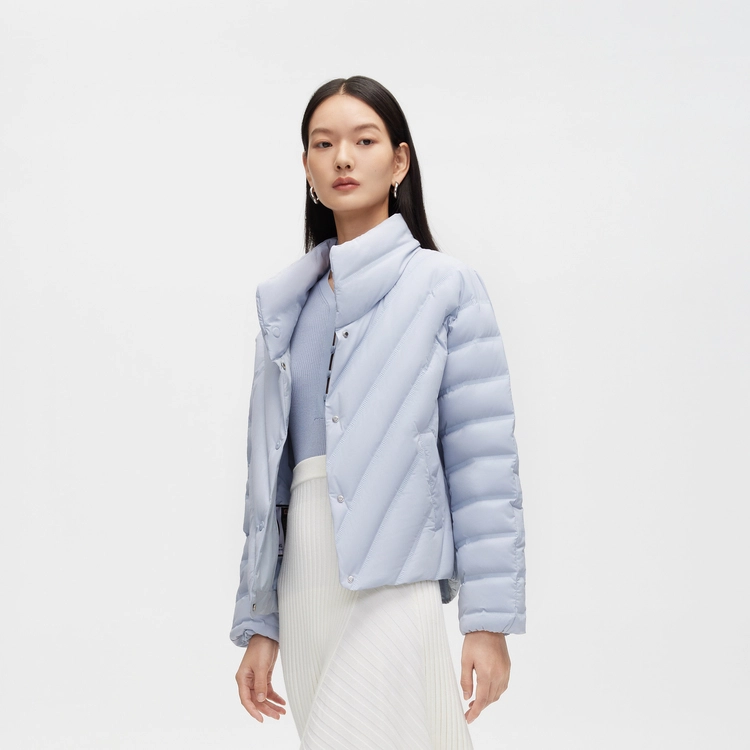波司登 纯色立领绗缝轻薄短款羽绒服 冬季 女款