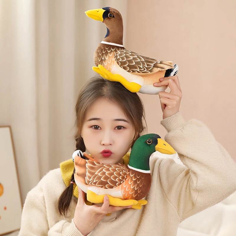 29cm