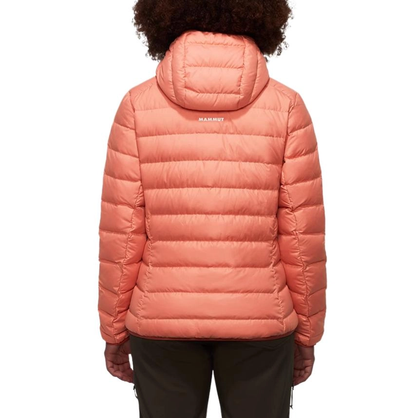 MAMMUT FWAW24